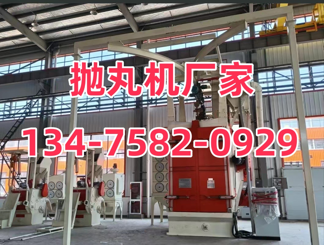 高速護(hù)欄除銹機(jī)_護(hù)欄網(wǎng)除銹機(jī)_護(hù)欄除銹防腐價格